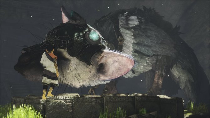 amazon schnappchen im august von dragon quest bis tropico the the last guardian trico lebt