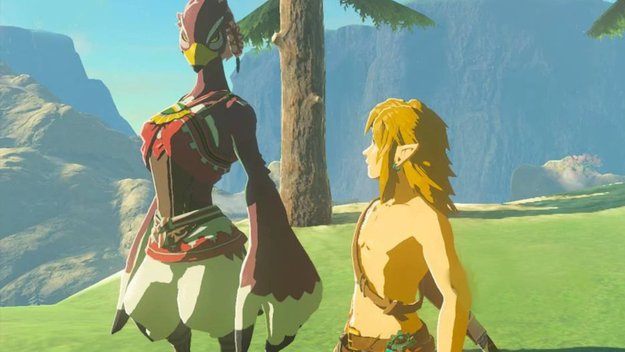 Ein leichtbekleideter Link holt sich viele schräge Blicke in Tears of the Kingdom ab. (Bild: Reddit/Acidhouses)