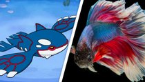 <span>Fische spielen Pokémon durch,</span> brauchen dafür Monate