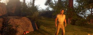 Kurioses in Rust: Penisgröße richtet sich nach Steam-ID