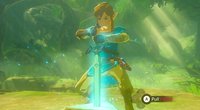 Zelda Breath of the Wild: Master-Schwert in Verlorenen Wäldern finden