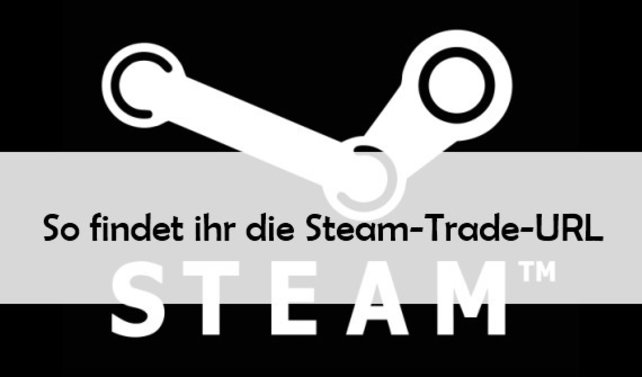 Wir helfen euch, die Steam-Trade-URL zu finden.