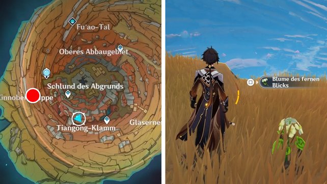 Die Karte zeigt euch den Fundort der Blume des fernen Blicks. (Quelle: Screenshot spieletipps)