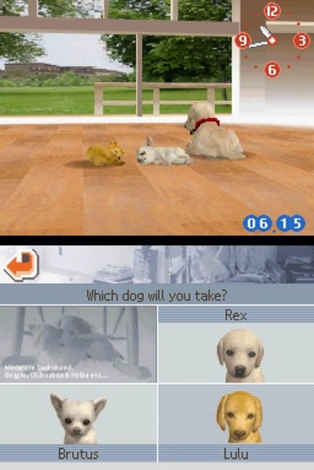 Tja, für welchen Hund entscheidet ihr euch? Rex, Brutus oder Lulu?