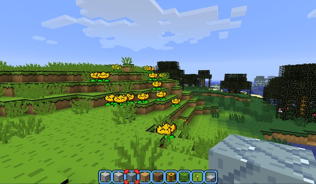 Hier kommen gleich nostalgische Gefühle auf: Super-Mario-World-Grafik in Minecraft.