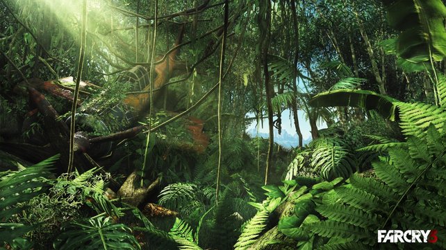 Eines der ersten Bilder von Far Cry 3, das Ubisoft auf der E3 veröffentlicht hat.
