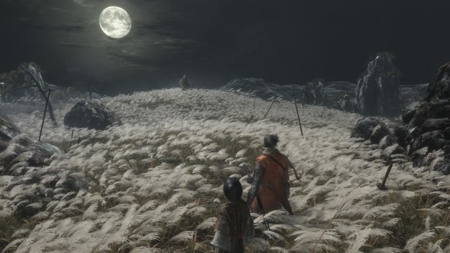 Kriegerromantik pur: Zwei Kämpfer wollen sich bei Mondlicht im Fuchsgras an die Wäsche.