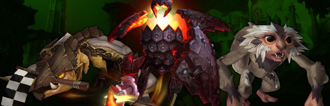 World of Wacraft Dragonflight | Alle neuen Haustiere im Überblick