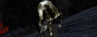 Wahr oder falsch? #187: Gibt es einen schwarzen Todes-Assassinen in Morrowind?