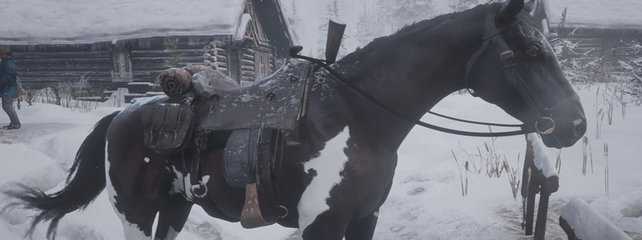 Red Dead Redemption 2 Legendäres Pferd