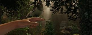 The Forest erscheint für PS4