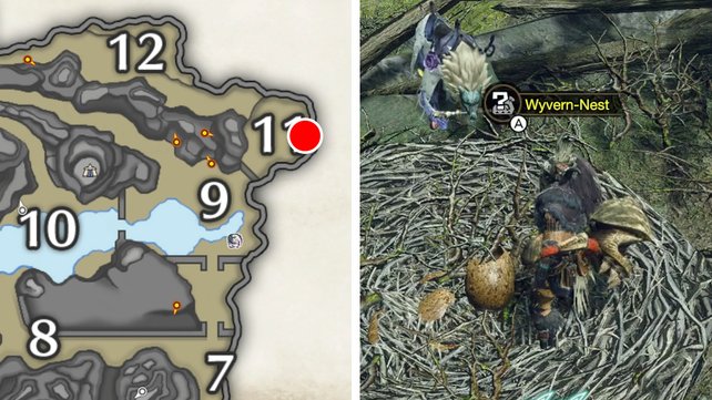 Monster Hunter Rise: Rhenoplos-Ei, Garwa-Ei & Wyvern-Ei finden Monster Hunter Rise: Rhenoplos-Ei, Garwa-Ei & Wyvern-Ei finden