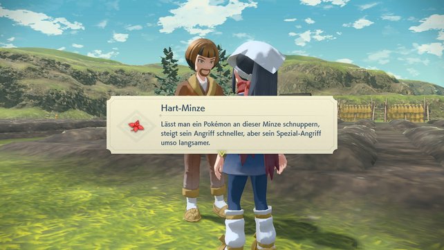 Es gibt 21 verschiedene Minzen, die ihr im Spiel erhalten könnt, um das Wesen zu ändern.