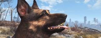 Wer ist eigentlich? #127: Dogmeat
