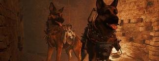 Fallout 4: Per Modifikation als Dogmeat spielen