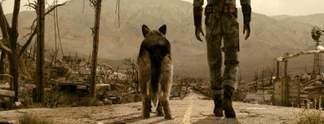 Wahr oder falsch? #65: Kann Dogmeat in Fallout 3 Laserstrahlen verschießen?