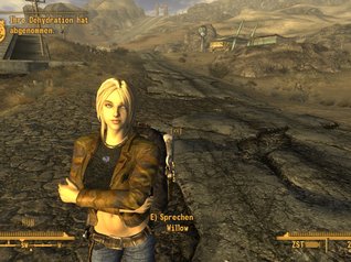 how to use fomm new vegas