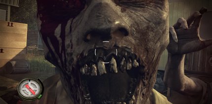 Zombie-Streifzug durch The Walking Dead Survival Instinct